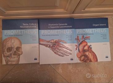 LIBRI ANATOMIA PROMETHEUS