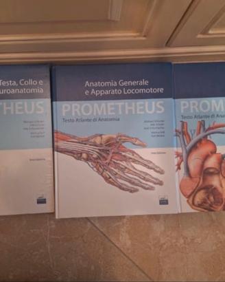 LIBRI ANATOMIA PROMETHEUS