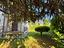 Immagine 19