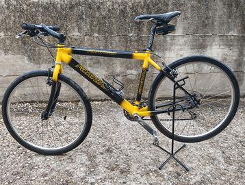Bicicletta Fontana da cicloturismo