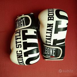 guantoni da boxe