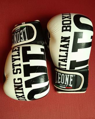 guantoni da boxe