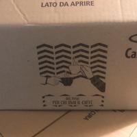Caffe’ Castorino