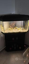 Acquario completo