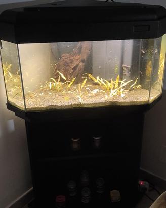 Acquario completo