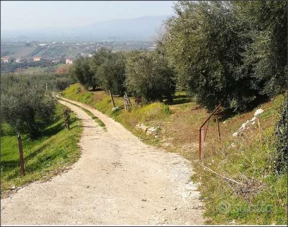 Terreno Agricolo a Cori