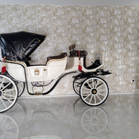 Carrozza cavallo vis a vis