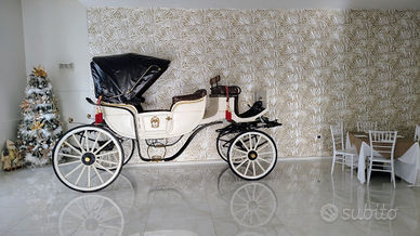 Carrozza cavallo vis a vis