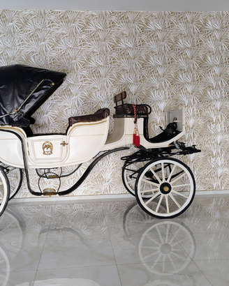 Carrozza cavallo vis a vis