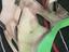Immagine 5