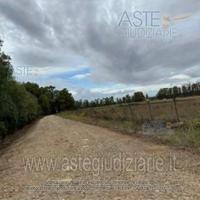 Terreno Agricolo Serramanna [A4344025]