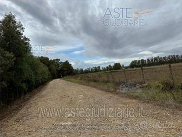 Terreno Agricolo Serramanna [A4344025]