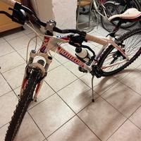 Bicicletta Bottecchia