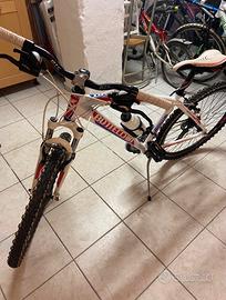 Bicicletta Bottecchia