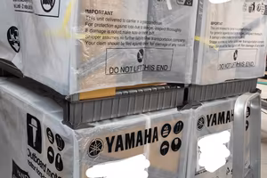 Motori fuoribordo ed elettrici