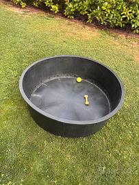 Piscina per cani