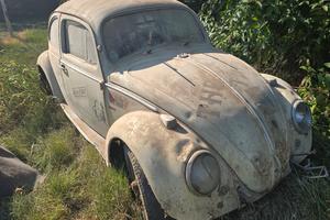 Maggiolino Volkswagen 1960