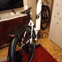 bicicletta elettrica 