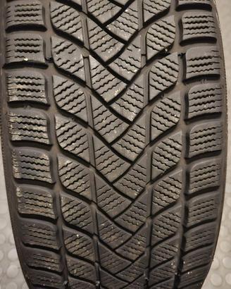4 Ruote invernali Delinte 225/50 R17