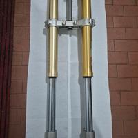 FORCELLE PAIOLI 37 HM