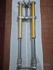 FORCELLE PAIOLI 37 HM