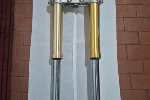 FORCELLE PAIOLI 37 HM