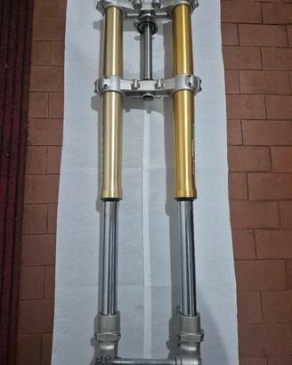 FORCELLE PAIOLI 37 HM