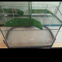 Acquari per tartarughe d'acqua