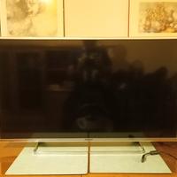 Panasonic viera 40 pollici 