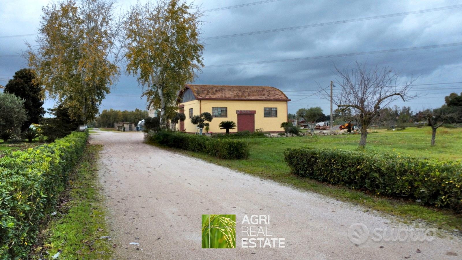 Terreno agricolo 3,2 HA con capannone 700 mq - Vista 5