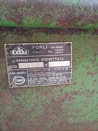 Vangatrice CELLI.