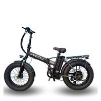 Bici pedalata assistita