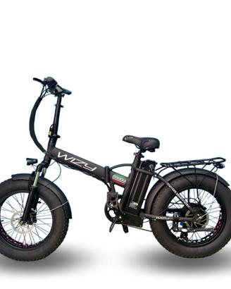 Bici pedalata assistita