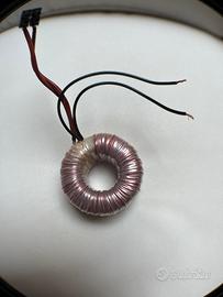 Trasformatore toroidale da 220 V 50 Hz a 12 V 50 W