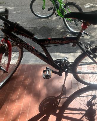 Mountain  Bike Gianni Bugno