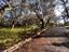 Immagine 27