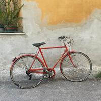 Bici da passeggio uomo