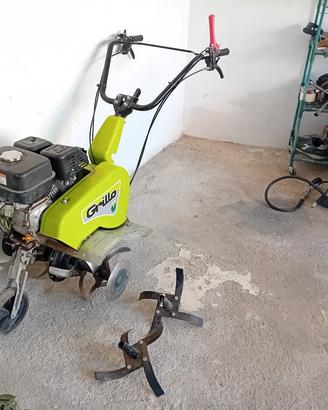 motozappa grillo