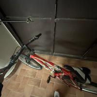Bici fujin errerrr