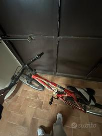 Bici fujin errerrr