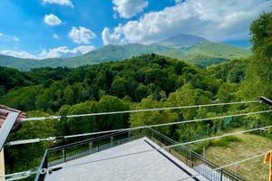 Bilocale immerso nel verde a colleretto