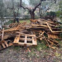 Pallet in legno gratuiti