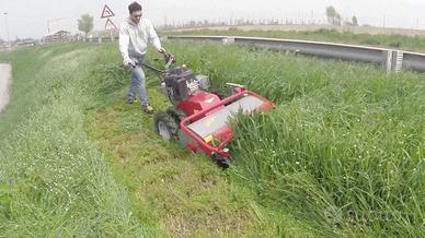 TRINCIASARMENTI TR 600 MECCANICA BENASSI