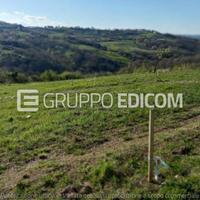 Terreno, Busso.