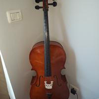 Violoncello Ammoon