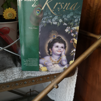 Il libro di krsna