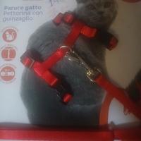 Parure gatto,cane,coniglio 