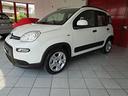 fiat-panda-1-0-firefly-s-s-hybrid-red
