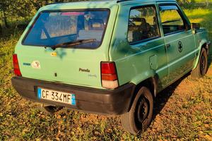 Panda 1100 Fire indistruttibile 