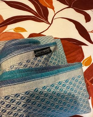 Fascia didymos